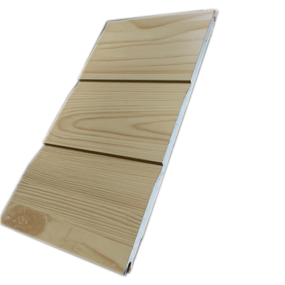 Revestiment de xapa d'acer galvanitzat d'alumini, zinc, casa mòbil